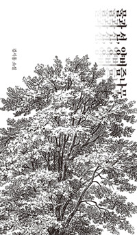 물과 선, 양버즘나무